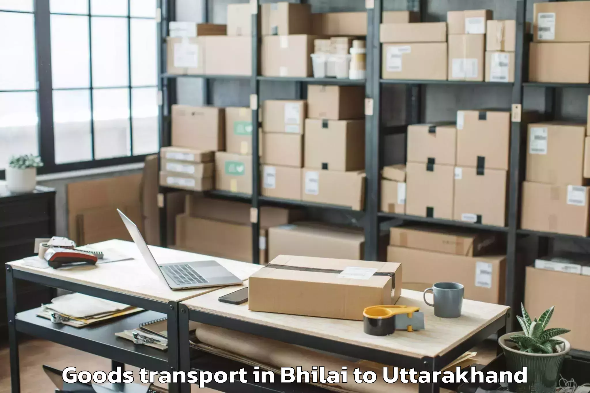 Hassle-Free Bhilai to Gangolihat Goods Transport